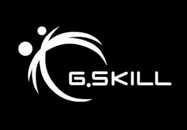 G.SKILL logo