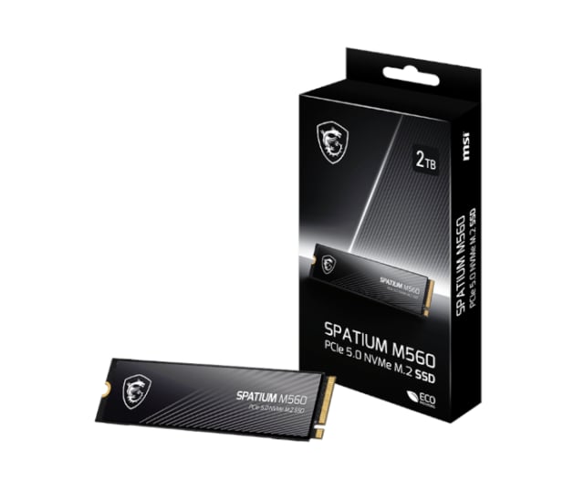 MSI SPATIUM M560 PCIe 5.0 NVMe M.2 2TB - Gaming PC Component | High Performance Hardware