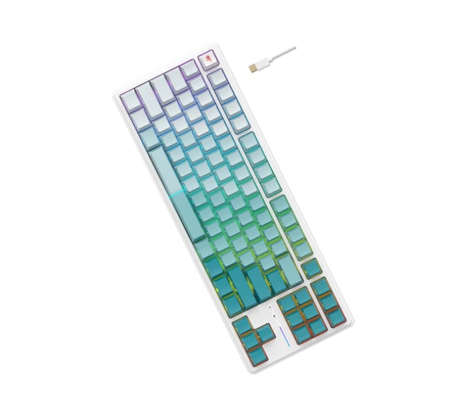 HAVIT Mechanical Keyboard KB901L RGB - Gaming PC Component | High Performance Hardware